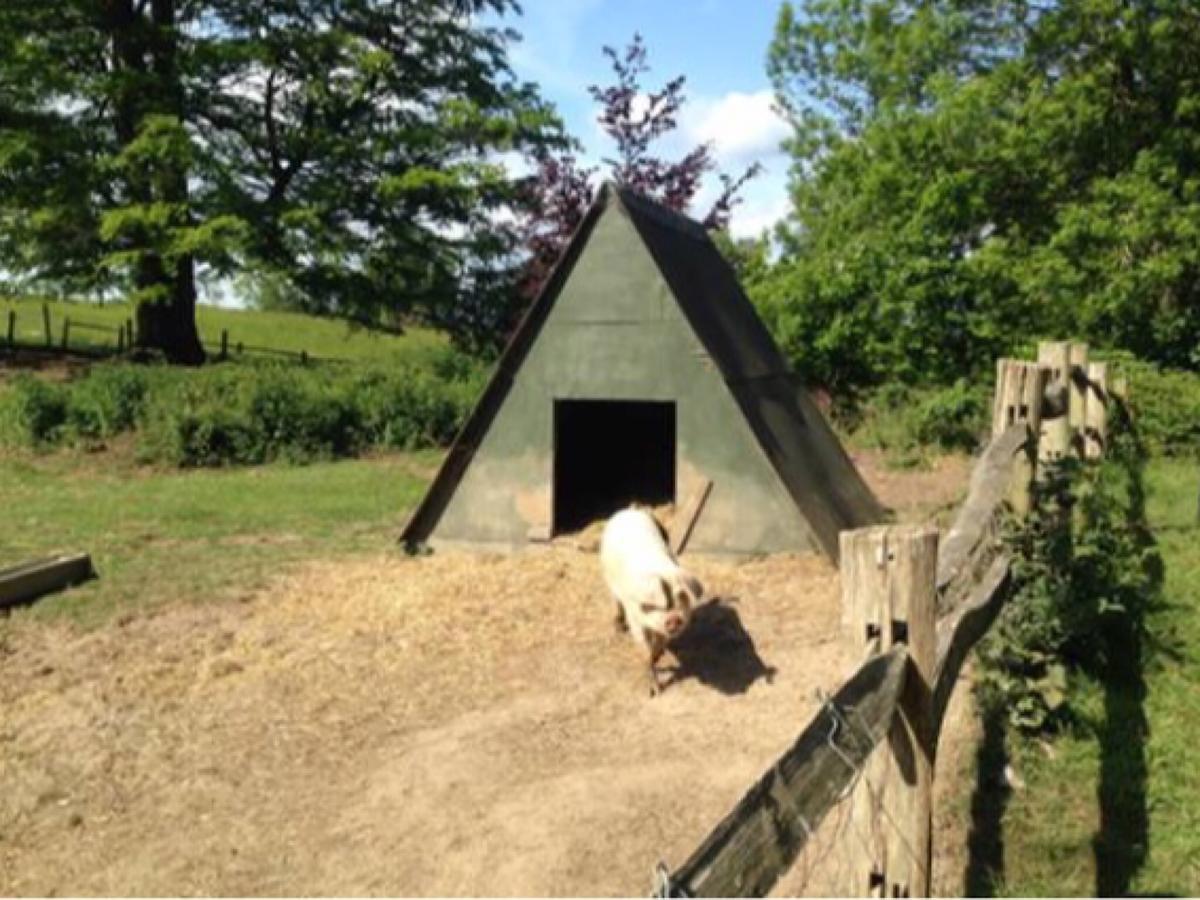 Danny Lodge - Country Cottage Near Brighton By Huluki Sussex Stays Hurstpierpoint المظهر الخارجي الصورة